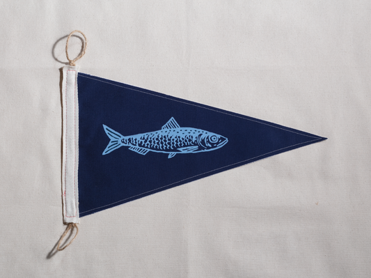Sardine